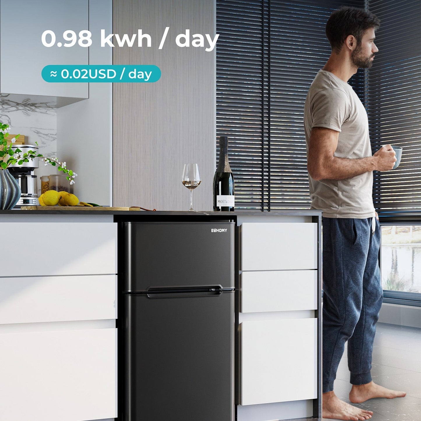 EUHOMY 3.2 Cu.Ft Built in & Free Standing Mini Fridge